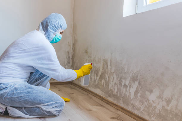 Licensed Mold Remediation service in North Carolina, NC - 24 Hour Mold Removal