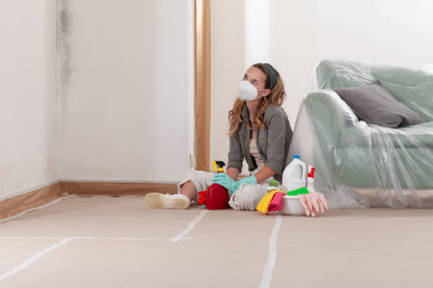Reliable Mold Remediation contractor in North Carolina, NC by 24 Hour Mold Removal